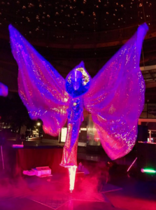 Alien Disco Butterfly, Stilt Stephen